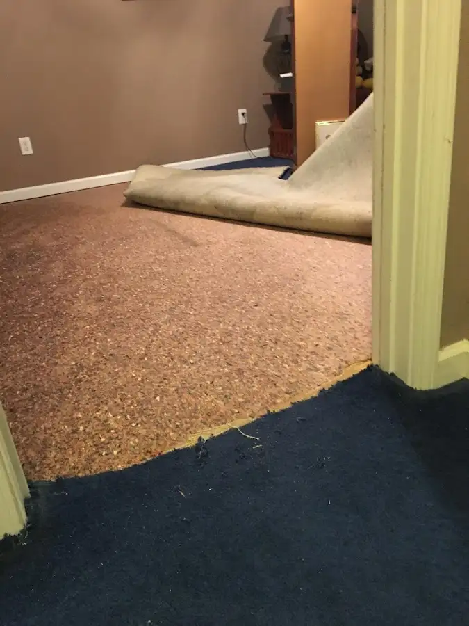 Carpet pad removal revealing water damage during Water Mitigation Services in Demarest