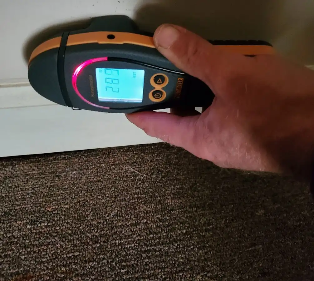Moisture detection at baseboard during Burst Pipe Cleanup in Demarest